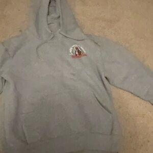 Deadpool graphic Gray Hoodie